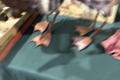 IMG_0651