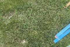 IMG_0947