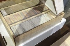 IMG_3049